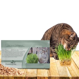 Outsidepride Variegated Cat Grass Seed - 500 Pcs Annual, Hardy & Low Maintenance, Ornamental Grass Seeds for Planting w/Bright White & Green Foliage, Ideal for Garden Borders & Container Displays