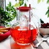 Bormioli Rocco Kufra Jug with Ice Container, Red Lid, 72