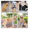 MANON ROSA - Almohadilla protectora de codo para perro, correa