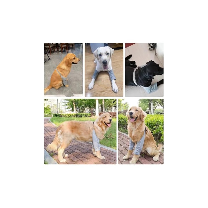 MANON ROSA - Almohadilla protectora de codo para perro, correa
