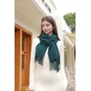 RIIQIICHY Scarf for Women Scarves and Wraps Winter Warm Pashmina