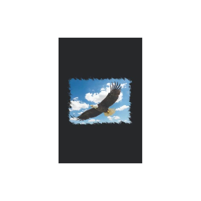 Bald Eagle: Bald Eagle Flying: Notebook for American Eagle 6x9