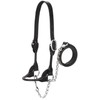 Weaver Leather Livestock Dairy/Beef Rounded Show Halter , Black, X-Large