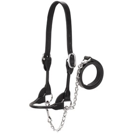 Weaver Leather Livestock Dairy/Beef Rounded Show Halter , Black, X-Large