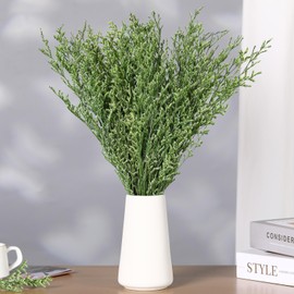 Dried Flowers Bouquet, Dry Caspia Flower Bundle, Floral Lavender, Babys Breath Flowers Arrangements for Wedding Decor, Door Wreath, Home Party Table Vase Decoration (Green, 17'')