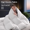L LOVSOUL Organic 75% Down Fiber Comforter Queen, White