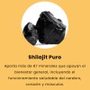 Gomitas Shilajit Puro Del Himalaya 80 Unidades De Grado Oro