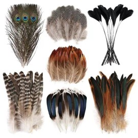 300 Pcs Small Feathers 10 Style Mixed Spotted Decorative Natual Pheasant Feather for DIY Crafts Clothing Jewelry Hair DecorationColor: natural
