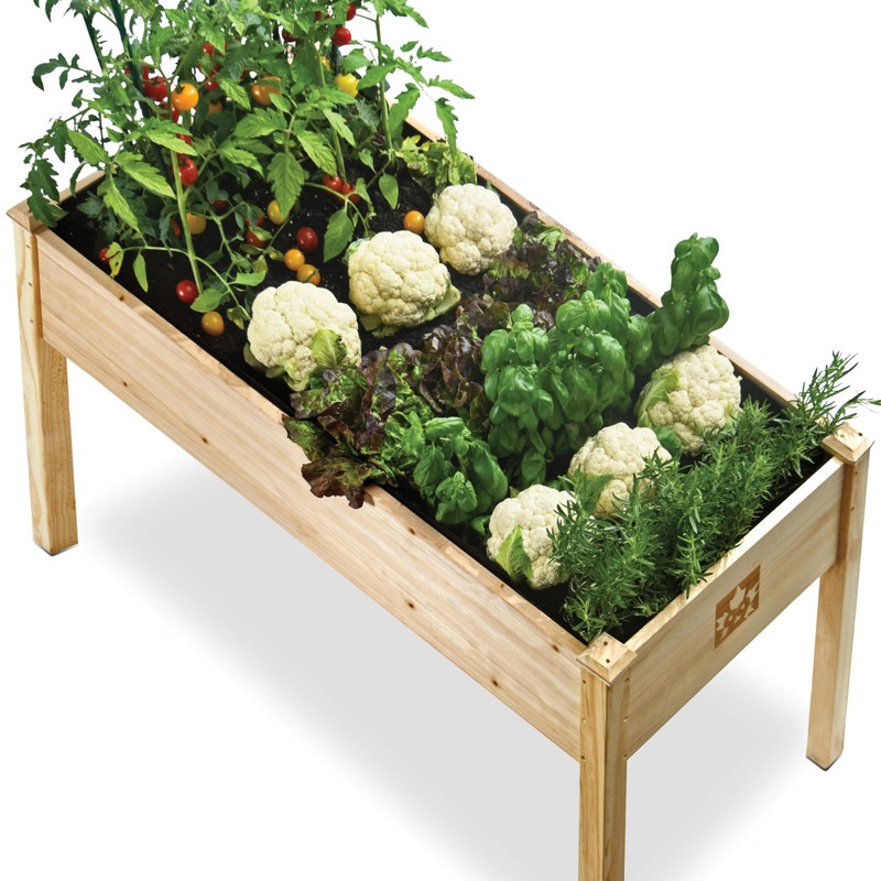 Maple99 Raised Garden Bed with Legs 48x24x30 - Natural Cedar