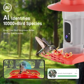 Hummingbird Feeder with Camera Outdoor, SV3C Hanging Bird Feeder with Ant Moat & Bee-Proof, HD 2K Solar Powered, AI Bird Identify, Instant App Alerts, Auto Capture, Hummingbird Lover Gifts, 21oz, Red