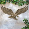 Whitehall Products Decorative Wall Eagle, 24-Inch, Antique Brass