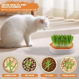 2 Stück Keimschale Katzengras, shallyong Sprossen Anzuchtset, Kresse Anzuchtschalen, Keimschalen für Sprossen, Katzengras Anzuchtset, mit 6 Packungen Katzengras Samen