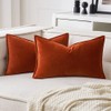 MIULEE Pack of 2 Decorative Velvet Throw Pillow Covers Soft