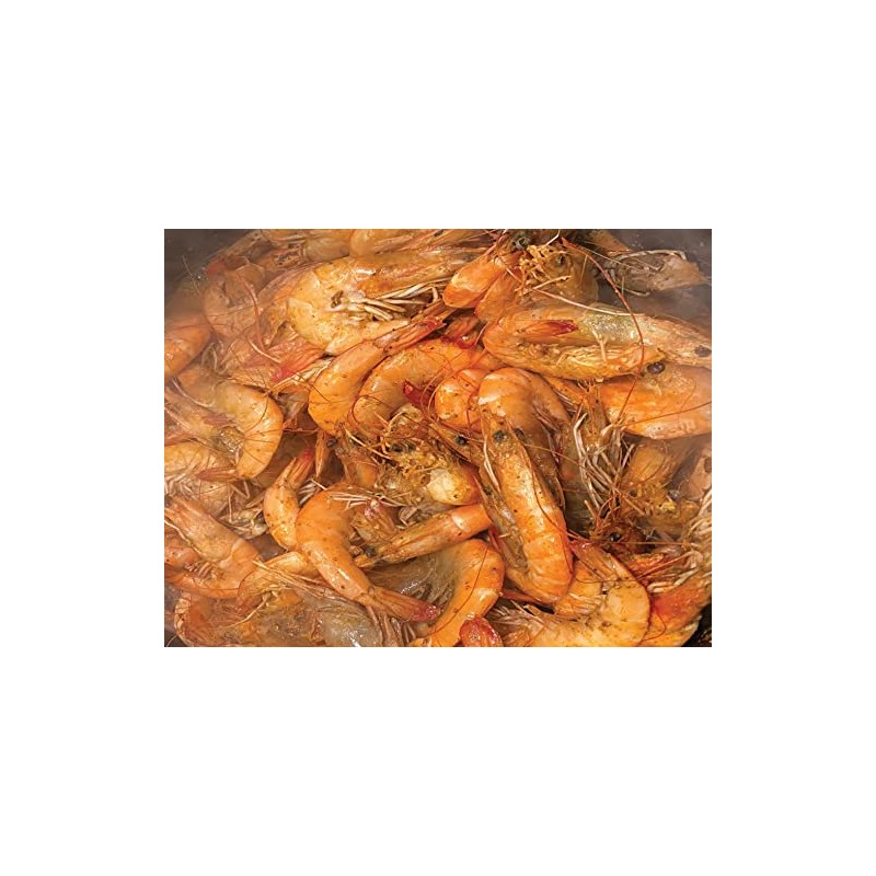 King Kooker 30FBA Frying Boiling Basket, Silver