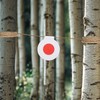 PATIKIL Microfiber Bullseye Targets 4cm, 14Pcs Competition Game Target Shooting