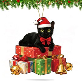 Black Cat Funny Christmas Ornaments 2025, 2D Acrylic Hanging Ornaments for Christmas Tree Decorations, Xmas Decor for Cat Lovers Stocking Stuffers Gifts for Women and Men