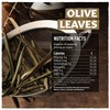 Eastanbul Olive Leaf, 1.06oz Olive Leaf Tea AKA Te De