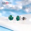 limerencia Pure Titanium CZ Stud Earrings Hypoallergenic F136 Implant Grade