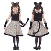 Party City Leonie Dress Kids Cosplay, 55.1 inches (140 cm)