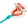 Interdental Threading System with Threadable Proxy Brush Inserts, for Flossing