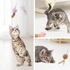 SONGWAY Cat Toy, Ball, Cat Pujarashi, Feather Ball, Replacement Toy,