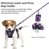 Petmolico No Pull Dog Harness Set, 2 Leash Attchment Easy