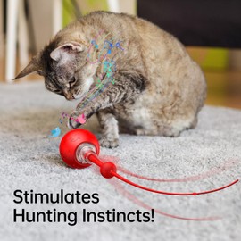 Interactive Cat Toy for Indoor Cats,Automatic Electric Self Rotating Ball with Chirping,Led Light and Long Tail for Motion Activated,Smart Spinning Ball for Fun Exercise,Red