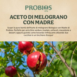 Probios Aceto Di Melograno Con Madre Biologica - Crudo e Non Filtrato - Fermentato Naturalmente Per Cucinare, Condimenti Per Insalata e Bevande Rinfrescanti - Confezione da 500 ml