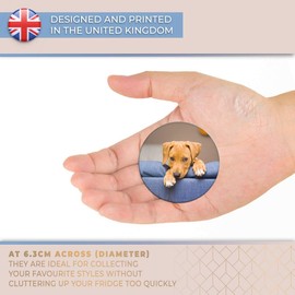 Destination Vinyl ltd Magnet for Refrigerator, Fridge - Cheeky Jack Russell Cute Puppy Pet for Office, Cabinet and Whiteboard, Magnetic Stickers, 16264