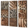 Touch of Class Exotic Patterns Canvas Art Set of Three