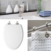 Mayfair Bennett Toilet Seat with Brushed Nickel Hinges, Slow Close