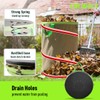 Colwelt Collapsible Garden Bag 47Gallon, Collapsible Leaf Bags with Hard