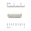 Dietary Supplement Probiotic Probiotics Gold Set Pack Capsules 2 Pack,