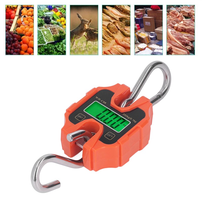 Mini Digital Crane Scale 250kg Range Portable Detachable LCD Display