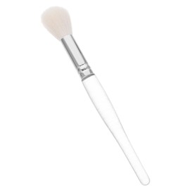 BIUDECO Small Makeup Brush Set Blush Brush Powder Brush Highlighter Brush for Beginners Professionals Portable Easy to Store