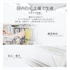 [GINZA STYLE] Cooling Mask, Summer Mask, Cool Feel, 20 Pieces,