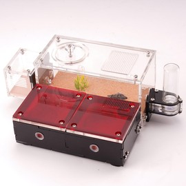 Double Courtyard Ant Nest – Dual Chambers with Activity Space, Built-in Humidity Retention System, External Water Tower & Waste Area for Optimal Ant Habitat Maintenance