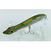 WORLD FAMOUS SEABASS LURE XORUS PATCHINKO 100 500G