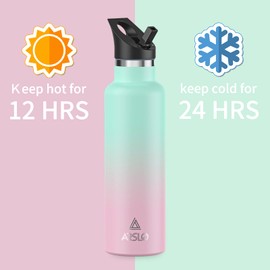Arslo Stainless Steel Water Bottle with Straw - Insulated Water Bottle for Sports, Gym, School, Commute, Adults/Kids - Keep Cold for up to 24 Hours - Sweat/Leak-proof - 2 Lids - BPA Free