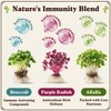 Seedboy Organic Non-GMO Sprouting Seeds, Immune System Booster - USA