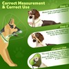 Soft Dog Cone After Surgery: Comfortable Dog Cones Collar for