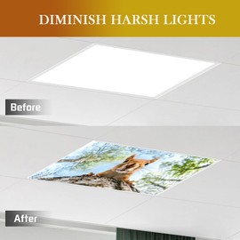 2 Pcs Fluorescent Light Cover Classroom Lighting Cover with 10 Magnets Light Filter Magnetic Ceiling Panel Decoration 2 x 4 ft Reduce Glare for Office School (Squirrel Exploration)