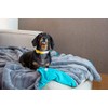 Doodlebone Faux Fur Dog Blanket (Slate/Teal)