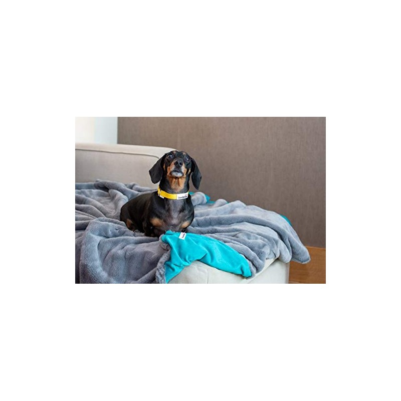 Doodlebone Faux Fur Dog Blanket (Slate/Teal)