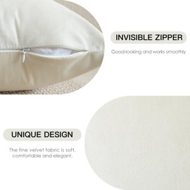JOTOM Soft Velvet Decorative Throw Pillow Covers 22x22 Inch Solid Cushion Covers 55x55 cm Cushion Case Square Pillow Cases for Couch Sofa Living Room Bedroom Home Decor Set of 2 (Cream White)