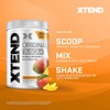 XTEND Original BCAA Powder – 7g BCAAs & 2.5g L-Glutamine,