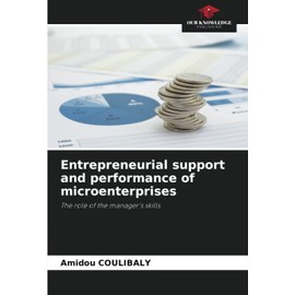 Entrepreneurial support and performance of microenterprises: The role of the manager's skills