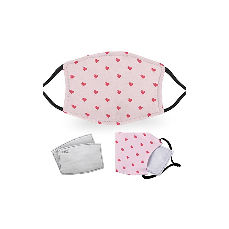 Hearts - Reusable Adult Face Masks - 2 Filters Included