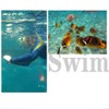 Single Lens Diving Mask Goggles Underwater Waterproof Snorkeling Mask Swimming