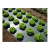 Grower's Solution Black Plastic Mulch 4ft. X 100ft. 1.0 Mil